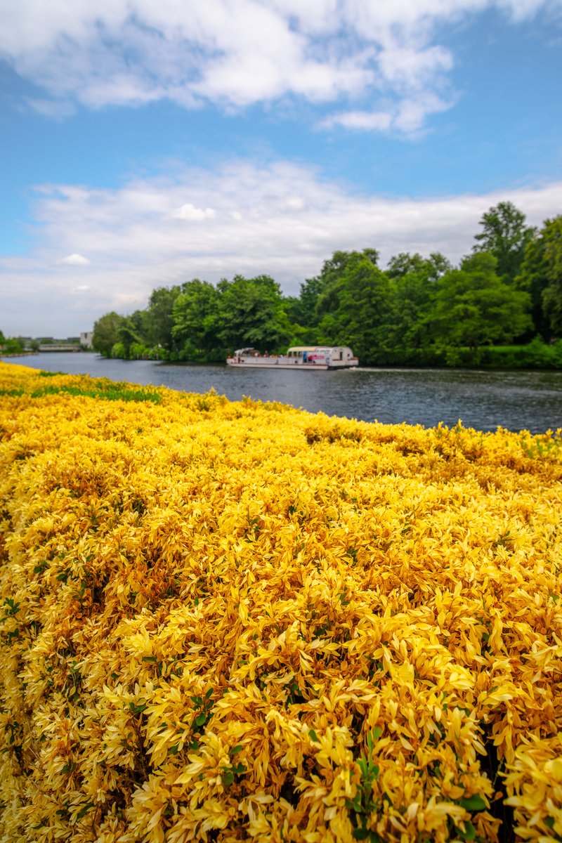 Ekweekly (20): Every Friday I show you some snaps and glimpses from last week.