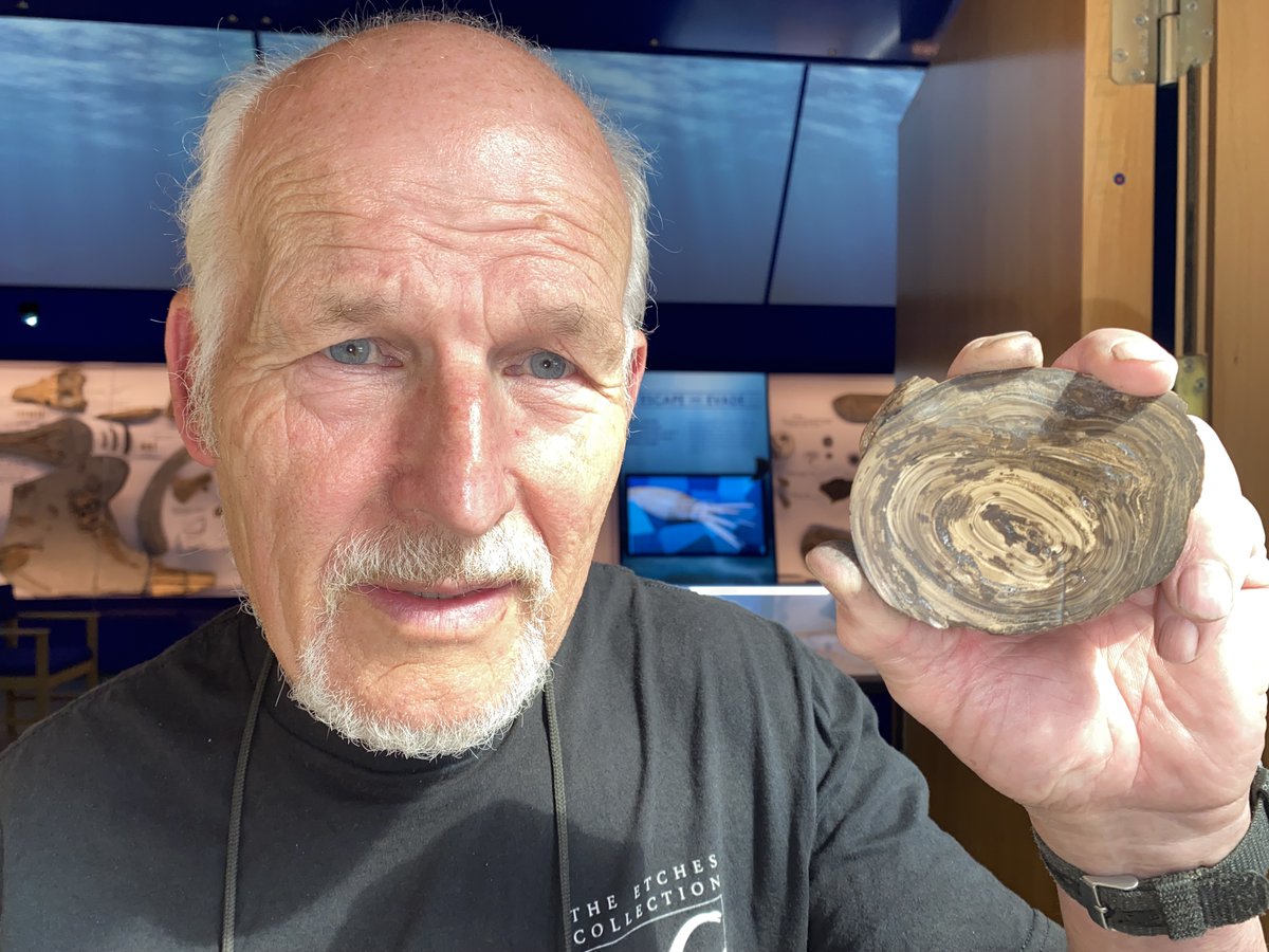 MrIchthyosaurus's tweet photo. As the embargo has been broken and it's #FossilFriday, here are photos of one of the UK's rarest #fossils, and the oldest #calculus (#StomachStone, #Enterolith) known in the fossil record! The study has just been published here: https://t.co/lAoCZpRNLZ https://t.co/7vMn2hoZl6