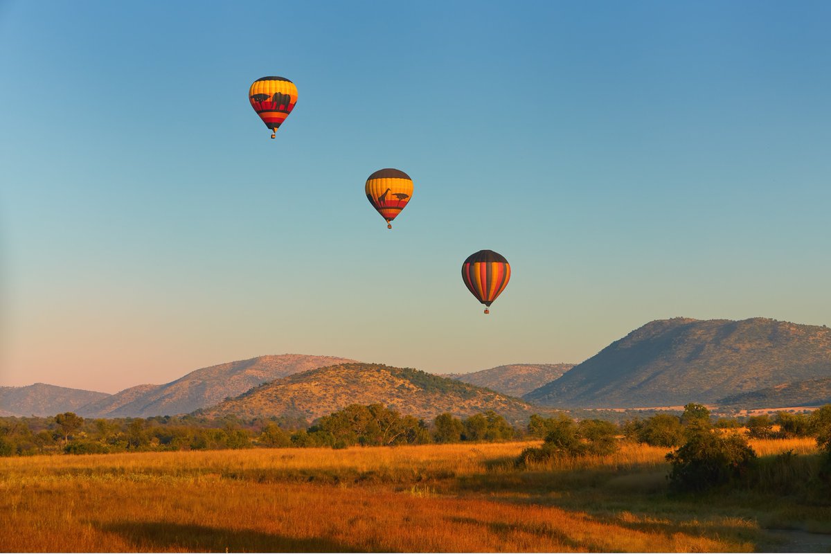 SenseOfAfricaSA's tweet photo. Hot air balloons in the Pilanesberg reserve.
📸Martin Mecnarowski
#Travel #Tourim #NorthWest https://t.co/hq3oZfEHtL