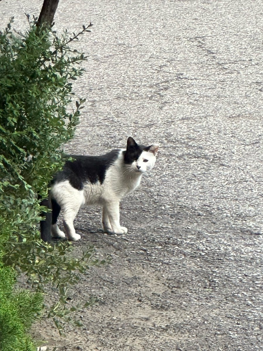 [230707] 7:23PM KST: ⭐️ 

- +📸
- eh