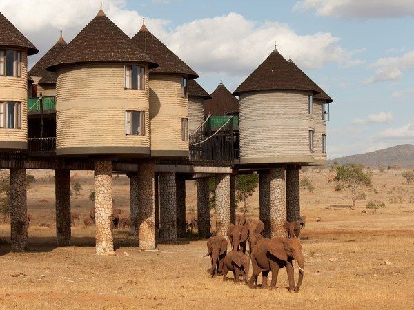 <a href="/Culture_Crit/">W</a> Nairobi, Kenya 🇰🇪