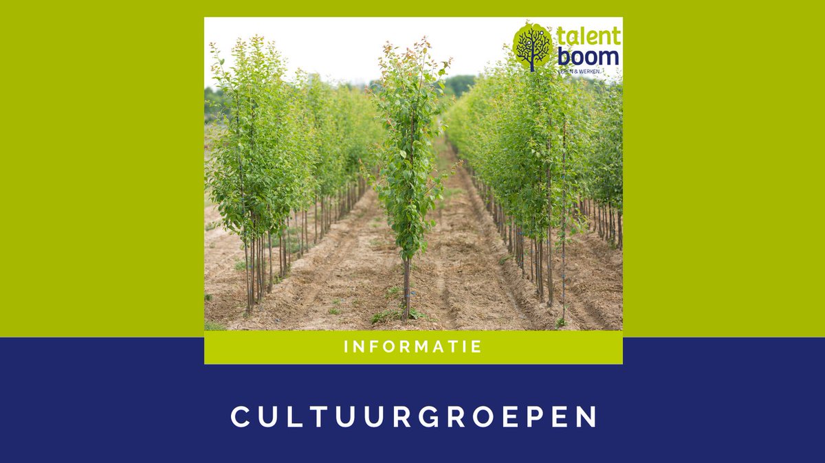 Talentboom2's tweet photo. De boomkwekerij is een brede sector met verschillende cultuurgroepen.  
Wil je meer weten over de boomkwekerij of wil je de cultuurgroepen leren kennen? Neem dan een kijkje op: https://t.co/7CzOsMKkTp

#boomkwekerij #zomerbloemen #groenisleven #levenlangleren https://t.co/6eNLGN5rXV