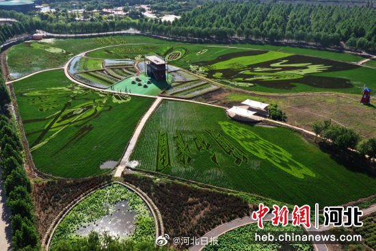 HebeiDaily's tweet image. Shen Nong Park&apos;s #ricepaddy art in #Baoding attracts visitors with stunning designs like &quot;Nezha Battle&quot; and &quot;Chang&apos;e Flying&quot; Source| China News Network #hebei #hebeidaily #photograph #agriculture