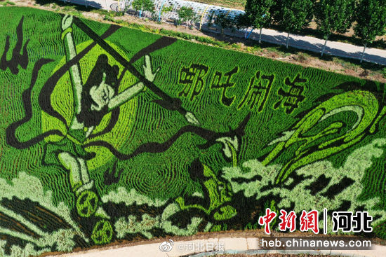 HebeiDaily's tweet image. Shen Nong Park&apos;s #ricepaddy art in #Baoding attracts visitors with stunning designs like &quot;Nezha Battle&quot; and &quot;Chang&apos;e Flying&quot; Source| China News Network #hebei #hebeidaily #photograph #agriculture