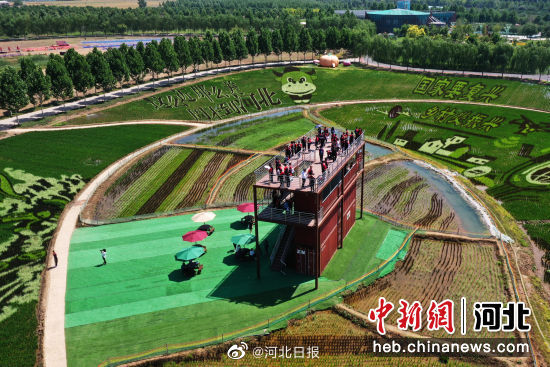 HebeiDaily's tweet image. Shen Nong Park&apos;s #ricepaddy art in #Baoding attracts visitors with stunning designs like &quot;Nezha Battle&quot; and &quot;Chang&apos;e Flying&quot; Source| China News Network #hebei #hebeidaily #photograph #agriculture