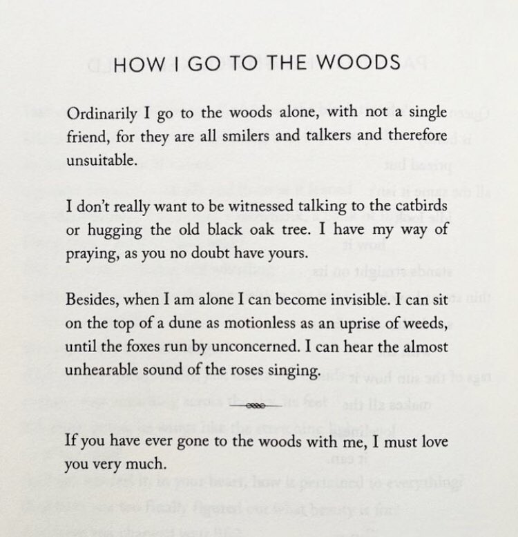 Joseph Fasano tweet media