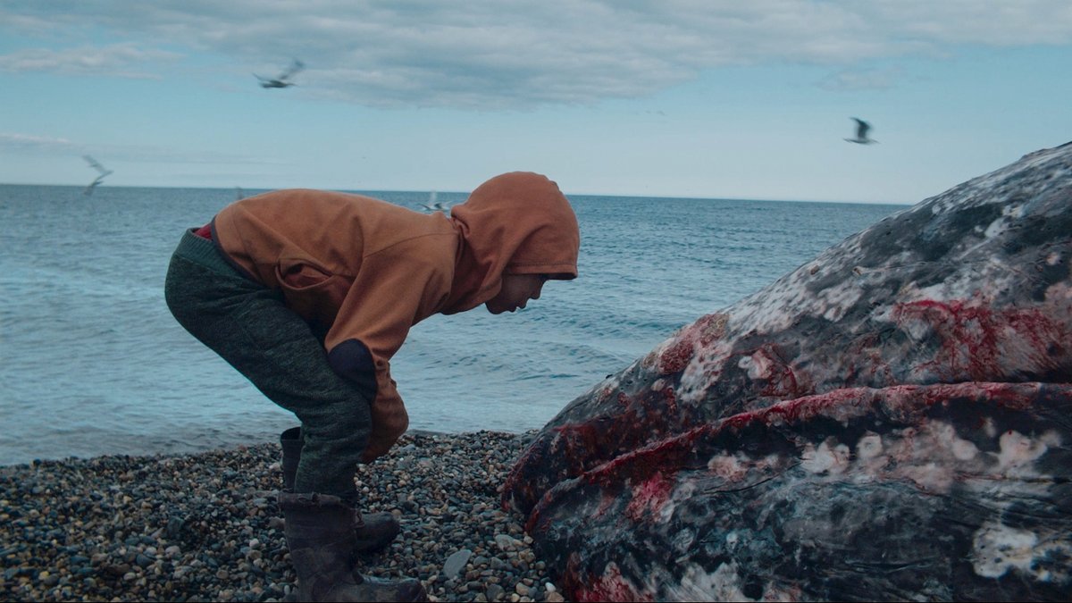 En_primera_fila's tweet image. SHEFFIELD &apos;23: Hablamos de paisajes, desde la isla de Wight hasta el Himalaya, pasando por Estados Unidos, el Círculo Polar Ártico y la provincia de Soria.

▫️Richland
▫️A year in a field
▫️No winter holidays
▫️Piblokto

@sheffdocfest
#sheffdocfest2023
 
enprimerafila.blogspot.com