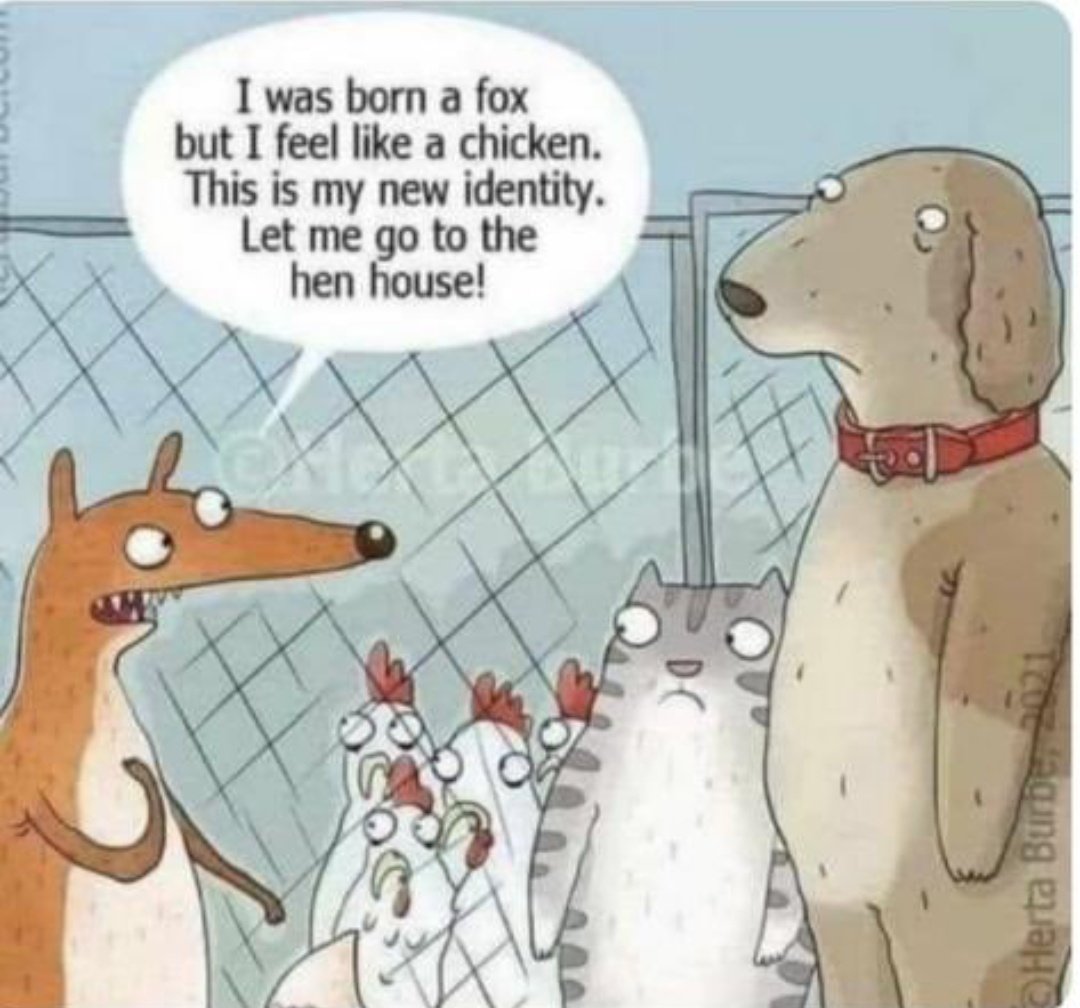 msnbha_'s tweet photo. @conservmillen https://t.co/l1AWkVhEap