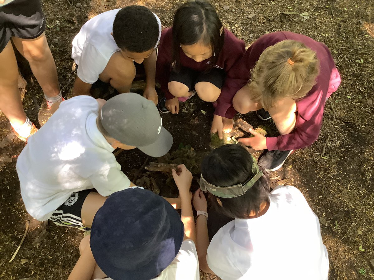 TyntesfieldPB's tweet photo. Mini shelter building before the full-size version… great team work skills! https://t.co/9Ptkdjw0Hr