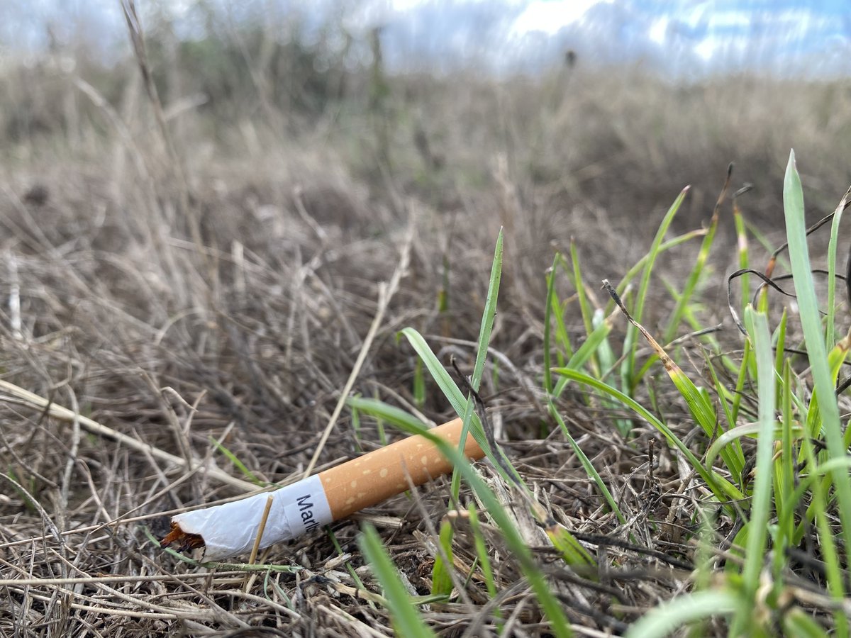 BCConservators's tweet photo. @SurreyFRS & @reigatebanstead JET & Dog Warden teams joined us on #BansteadHeath to raise awareness of #ASBAwarenessWeek
#BansteadCommons are here for all to enjoy. We must work together to preserve these precious habitats for our visitors.
#dogfouling
#BeWildfireAware https://t.co/N7dZQgKPXH