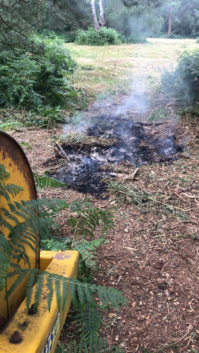 @SurreyFRS & @reigatebanstead JET & Dog Warden teams joined us on #BansteadHeath to raise awareness of #ASBAwarenessWeek

#BansteadCommons are here for all to enjoy.  We must work together to preserve these precious habitats for our visitors.

#dogfouling
#BeWildfireAware