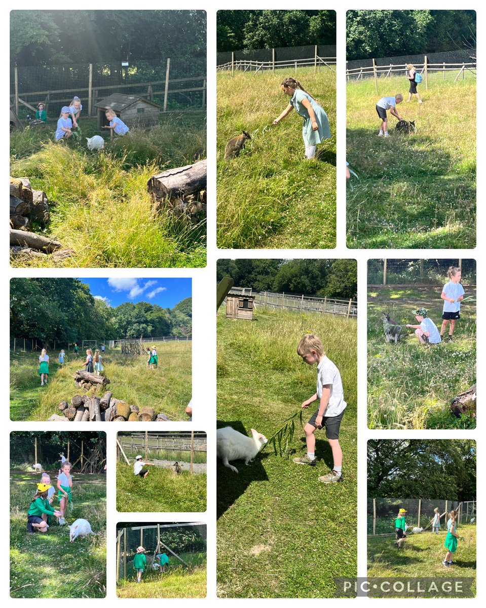 MissMartinnn's tweet photo. Hwyl a sbri ar ein trip i’r fferm! Pa anifeiliaid ydych chi’n gallu gweld? Rydym ni hyd yn oed wedi bwydo’r walabies!!🦘🌾🚜☀️ @TwmbarlwmCG https://t.co/ig4otOV9C1