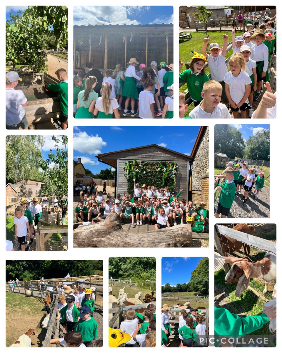 MissMartinnn's tweet photo. Hwyl a sbri ar ein trip i’r fferm! Pa anifeiliaid ydych chi’n gallu gweld? Rydym ni hyd yn oed wedi bwydo’r walabies!!🦘🌾🚜☀️ @TwmbarlwmCG https://t.co/ig4otOV9C1