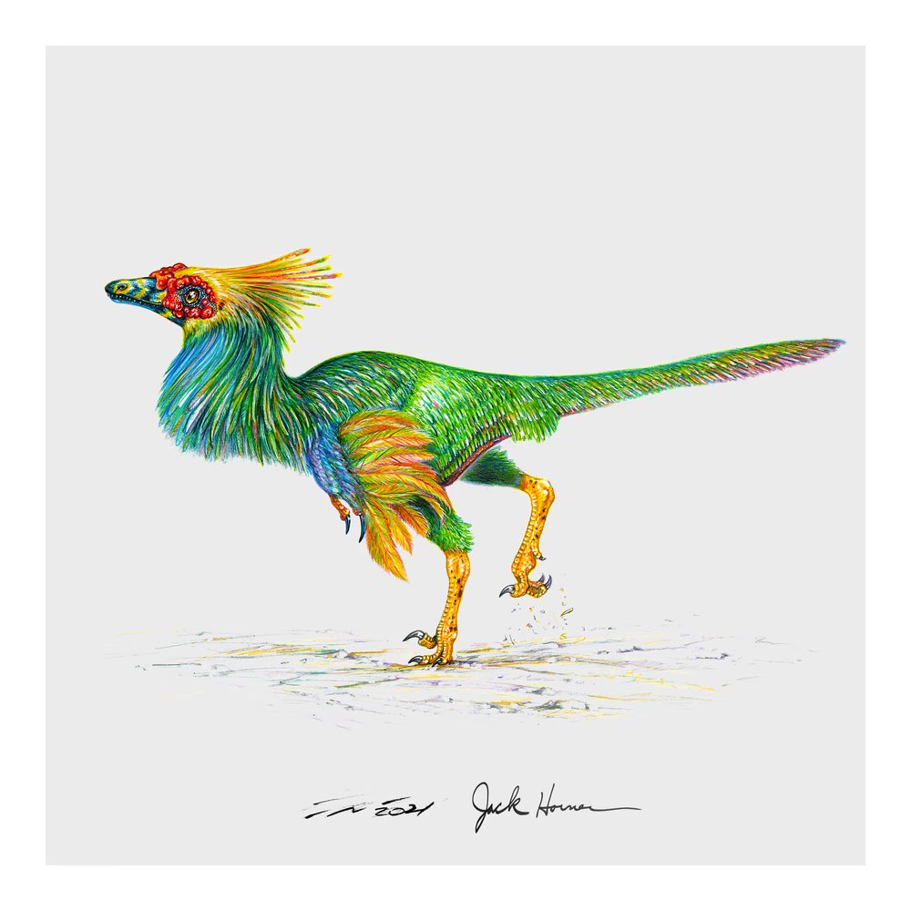 GMGM!! Where my fellow Dino-lovers at?? So excited to see where this project is going!! Not to mention, how important it is to educate people on Dinosaurs, with over 40% of Americans believing Dinos &amp; Humans co-existed! 🦖 🌎 📖
<a href="/dustydino/">Jack Horner</a>
<a href="/JackHornerDinos/">Jack Horner's Dinosaurs</a>