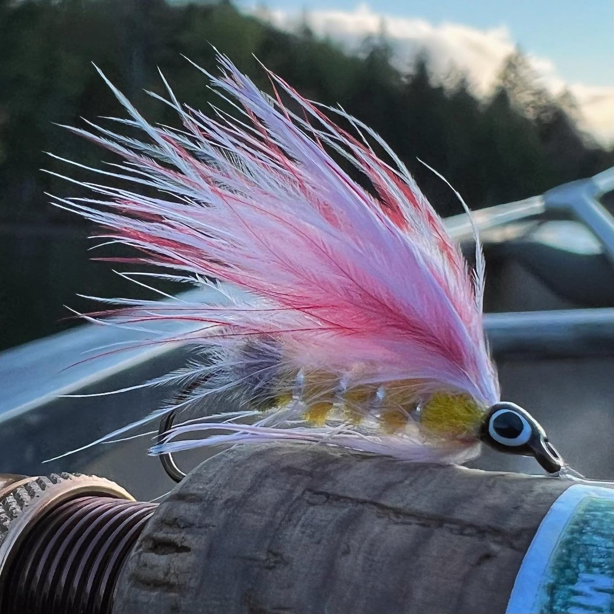 MidCurrent's tweet photo. "Parmachene Belle"
.
.
.
.
#partridgehooks #hmhvises #trout #wetfly
#flytyingbench #flugbinding #matchthehatch #fishinglife
#classicflytying #fishing #troutflies #browntrout #outdoorsman #streamerfishing #angling #flyfishingaddict #fishingbum https://t.co/S0yoEvAvjA
