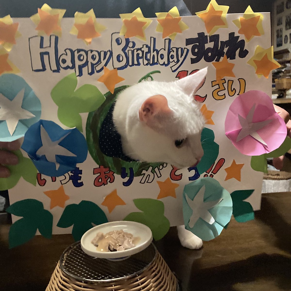 Wo9rS's tweet photo. お誕生日〔推定断定〕おめでとう🎉
すみれさん、12歳おめでとう㊗️これからもよろしくお願いします🙇‍♀️ https://t.co/NPuybxvY7a