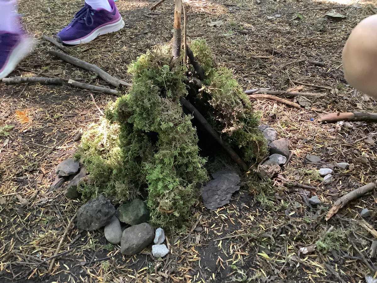 TyntesfieldPB's tweet photo. The finished mini-shelters! We’re very proud. https://t.co/3NtwS0Nxxh