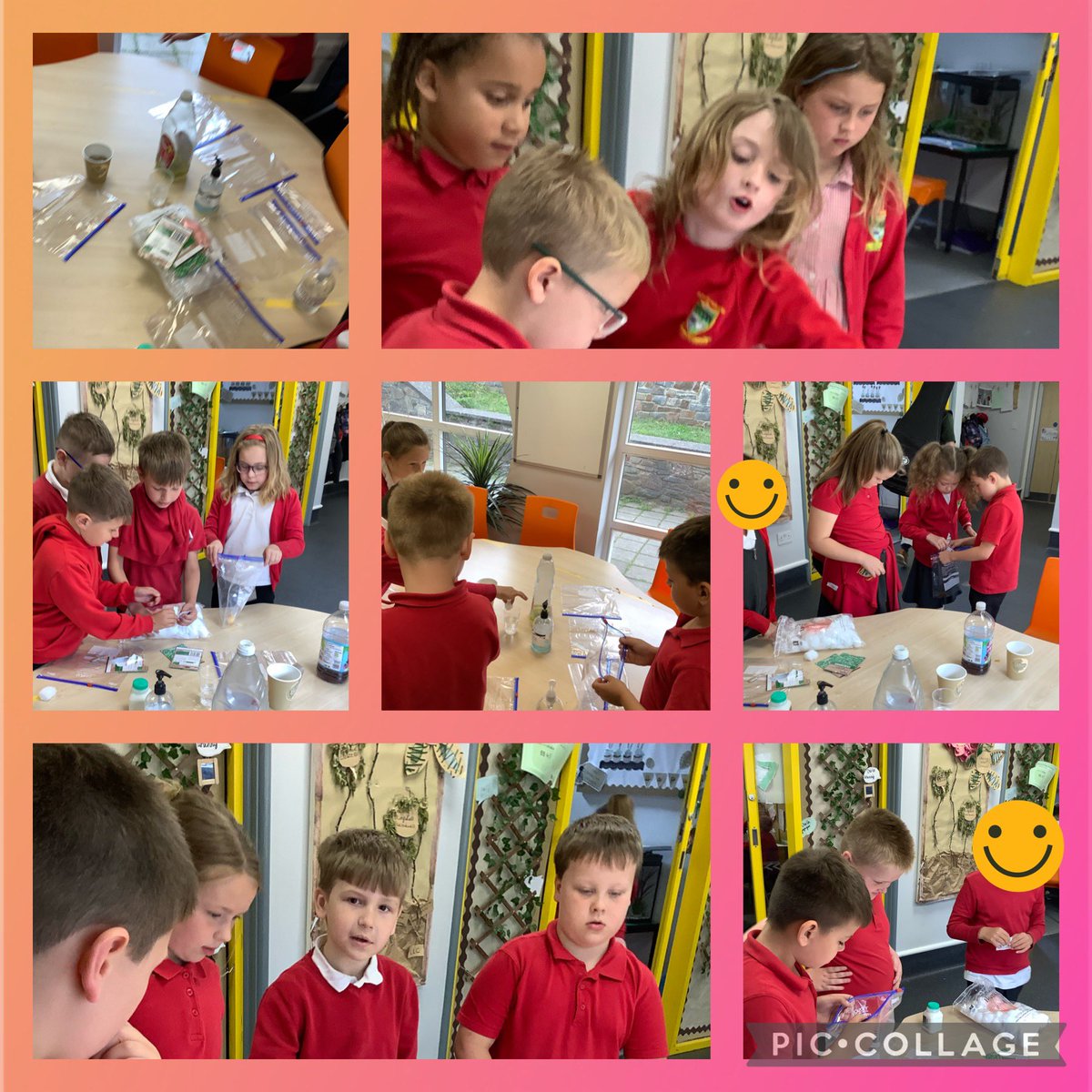 @garntegprimary @mrsnrogers95 Dosbarth said started our science experiment yesterday, which is to see if seeds will grow in different liquids! We are all very excited to see the results! 👩‍🔬🧑‍🔬