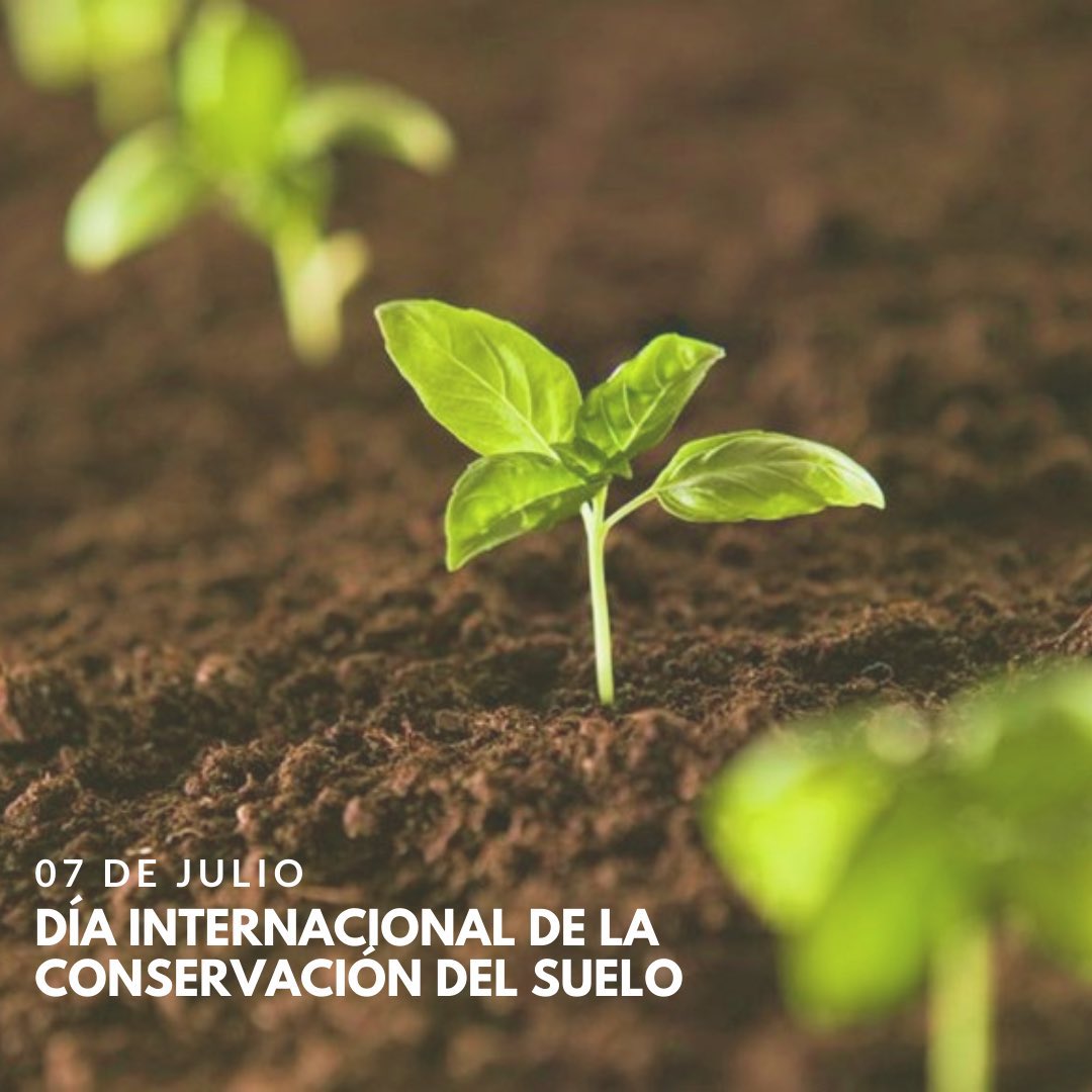 GerardoAmarilla's tweet photo. 7 de Julio – Día Internacional de la Conservación de Suelos

Cuidemos este recurso tan importante para nuestro país. https://t.co/hQytWlSYWx
