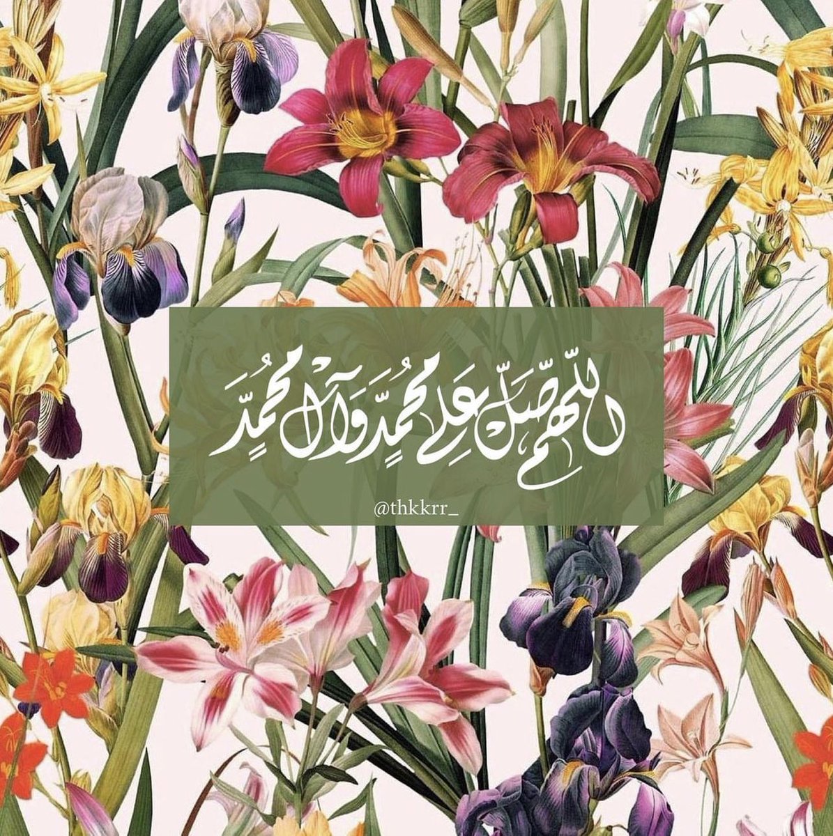 "اللهُم‌َّ فِي يومِ الجُمعةِ أرزُقنَا سلامَةَ القلبِ وطمأنِينَة الرُّوحِ والسَّعادةِ الدَّائمةُ."🤲🏻🤍

جمعة مباركة 🤍✨