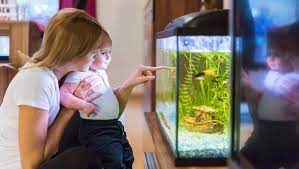 AstrafeSicilia's tweet photo. "Pesciolini per i bimbi di ISMETT". Astrafe che opera presso #ISMETT per i pazienti adulti e pediatrici vorrebbe donare un acquario. Aiuti con carta di credito o bonifico sul conto di Astrafe
IBAN : IT34C0200804611000300286696 - causale : "Pesciolini per i bimbi di ISMETT". https://t.co/oUhmWpo7QS