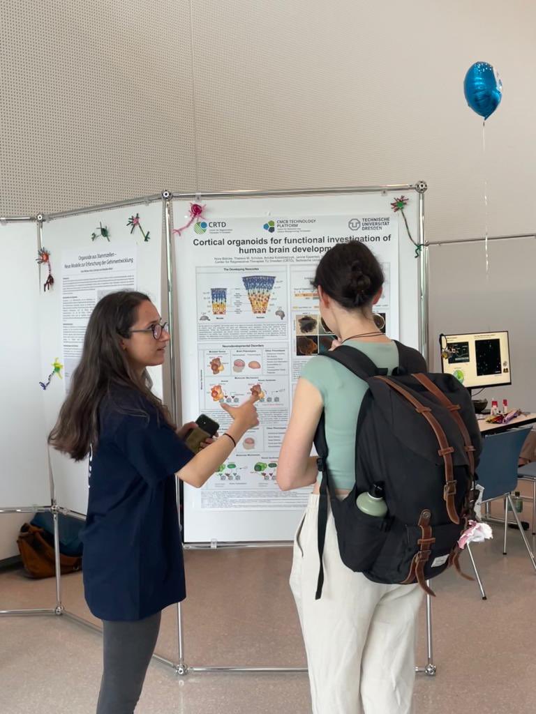 Ezgi Şenoğlu tweet media