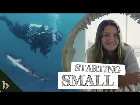 CatchCam Technologies (@catchcam_tech) on Twitter photo Join marine biologists <a href="/LibertyDenman/">Liberty Denman</a> & <a href="/Jas_Somerville/">Jasmine Somerville</a> as they dive deeper into shark #bycatch in UK waters. Jasmine is using Pisces Lights, developed by us at @SNTechUK , to study #fish behaviour & bycatch solutions.
<a href="/NMAPlymouth/">National Marine Aquarium</a> <a href="/thebiomeproject/">The Biome Project</a> ๐bit.ly/3pB7iju Join marine biologists <a href="/LibertyDenman/">Liberty Denman</a> & <a href="/Jas_Somerville/">Jasmine Somerville</a> as they dive deeper into shark #bycatch in UK waters. Jasmine is using Pisces Lights, developed by us at @SNTechUK , to study #fish behaviour & bycatch solutions.
<a href="/NMAPlymouth/">National Marine Aquarium</a> <a href="/thebiomeproject/">The Biome Project</a> ๐bit.ly/3pB7iju
