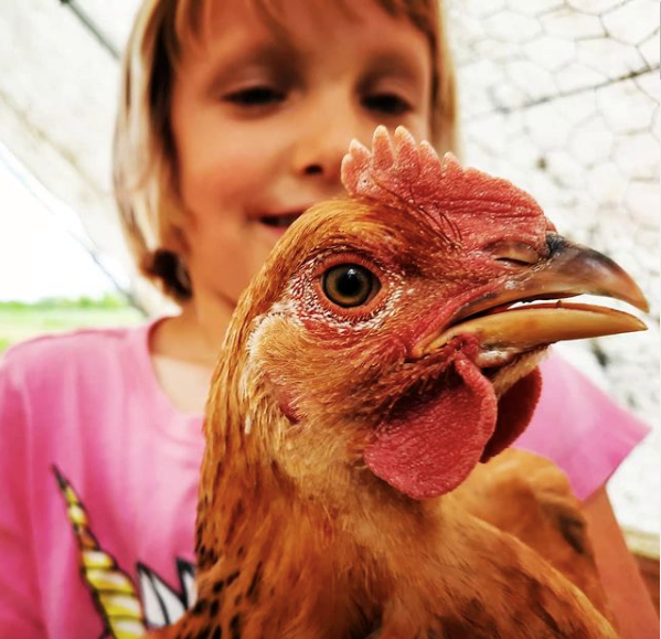 Blackberry Meadows tweet media