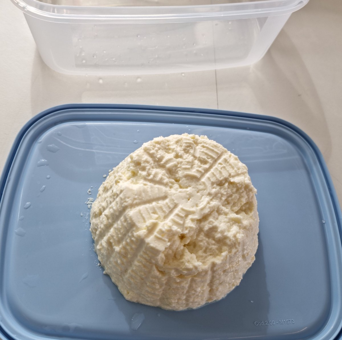 theleighutc's tweet photo. As part of their MYP, year 9 students make connections between changing conditions and its effect on proteins by making fresh cheese!
#MYP #UTCscience #Canyoubrieleaveit? https://t.co/rn5z0TBc1b