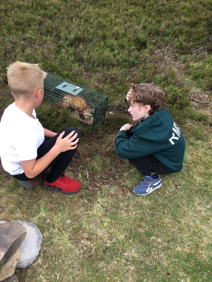 Richmond Methodist Primary School tweet media