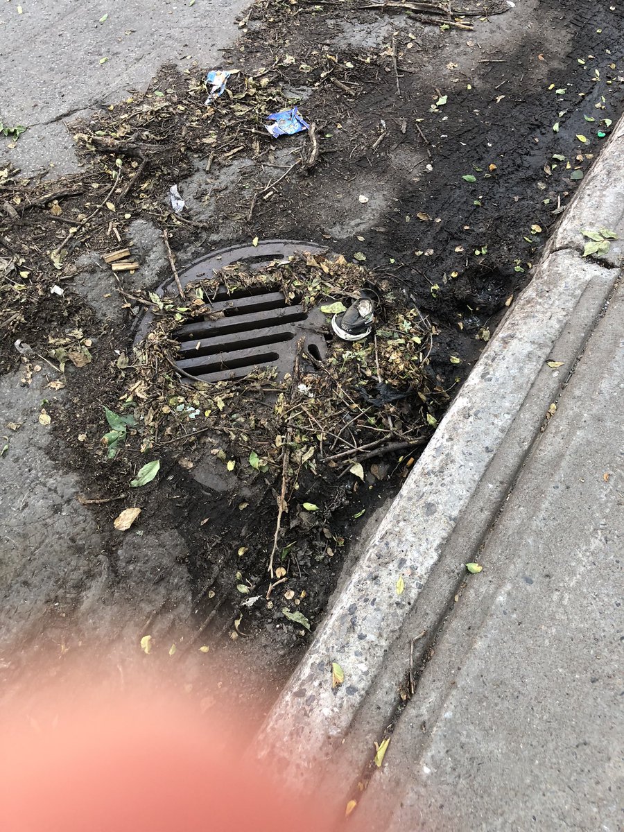 GenFiorin's tweet photo. Comment se fait le nettoyage de rue ? Ici rue Gauthier sur le @LePMR @LucRabouin @mariagig …l’année dernière c’était pareil #propreté #Montréal https://t.co/r3WD8pzT0p