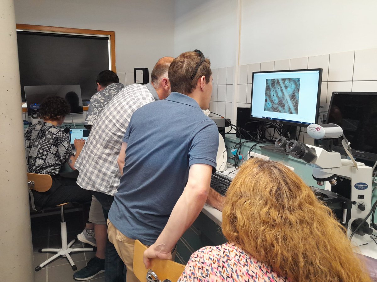 David Navarro tweet media