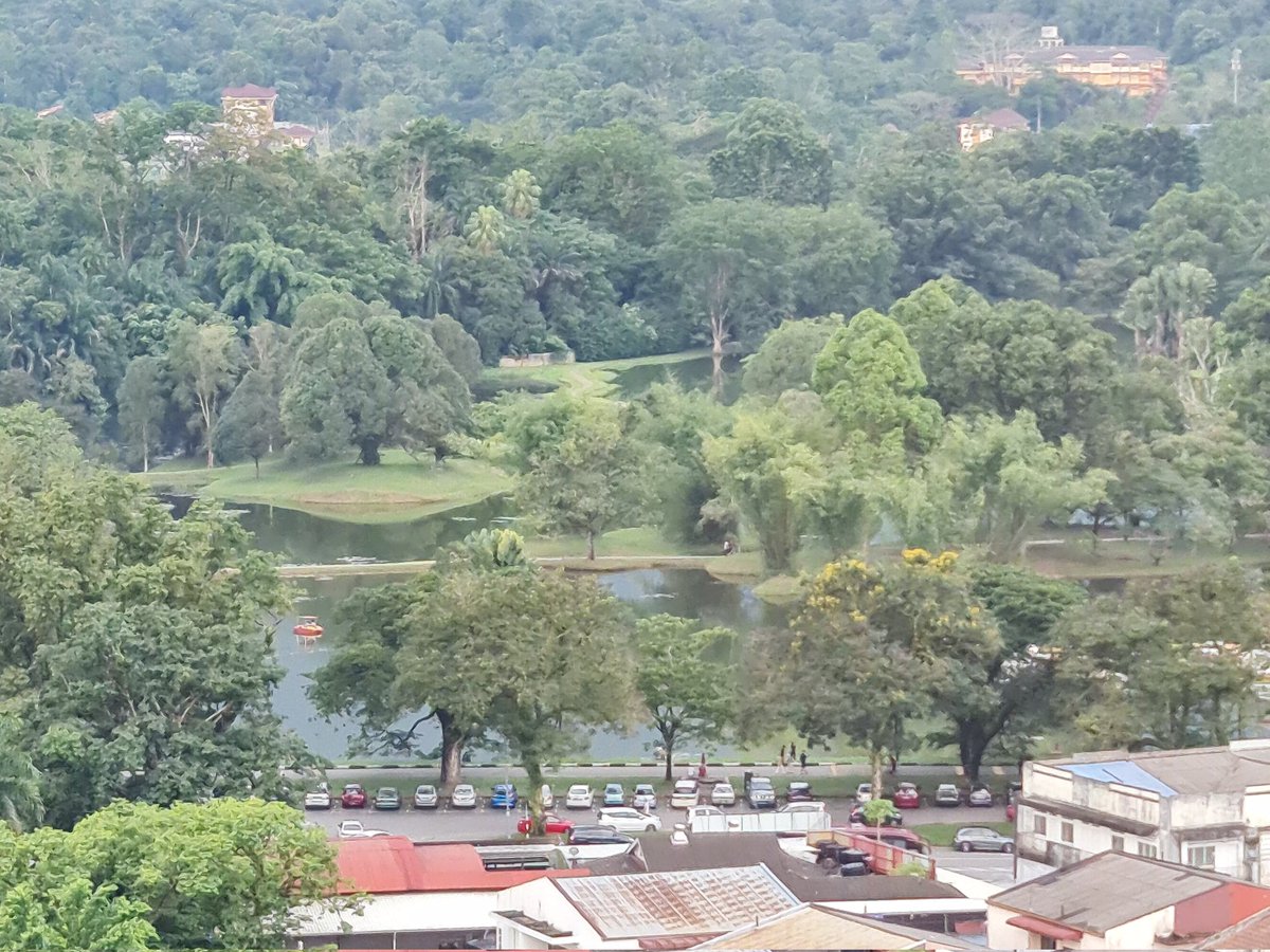 drzaherah's tweet photo. Taiping Lake Garden from Level 11, Novotel. https://t.co/Dqev3f7VHZ