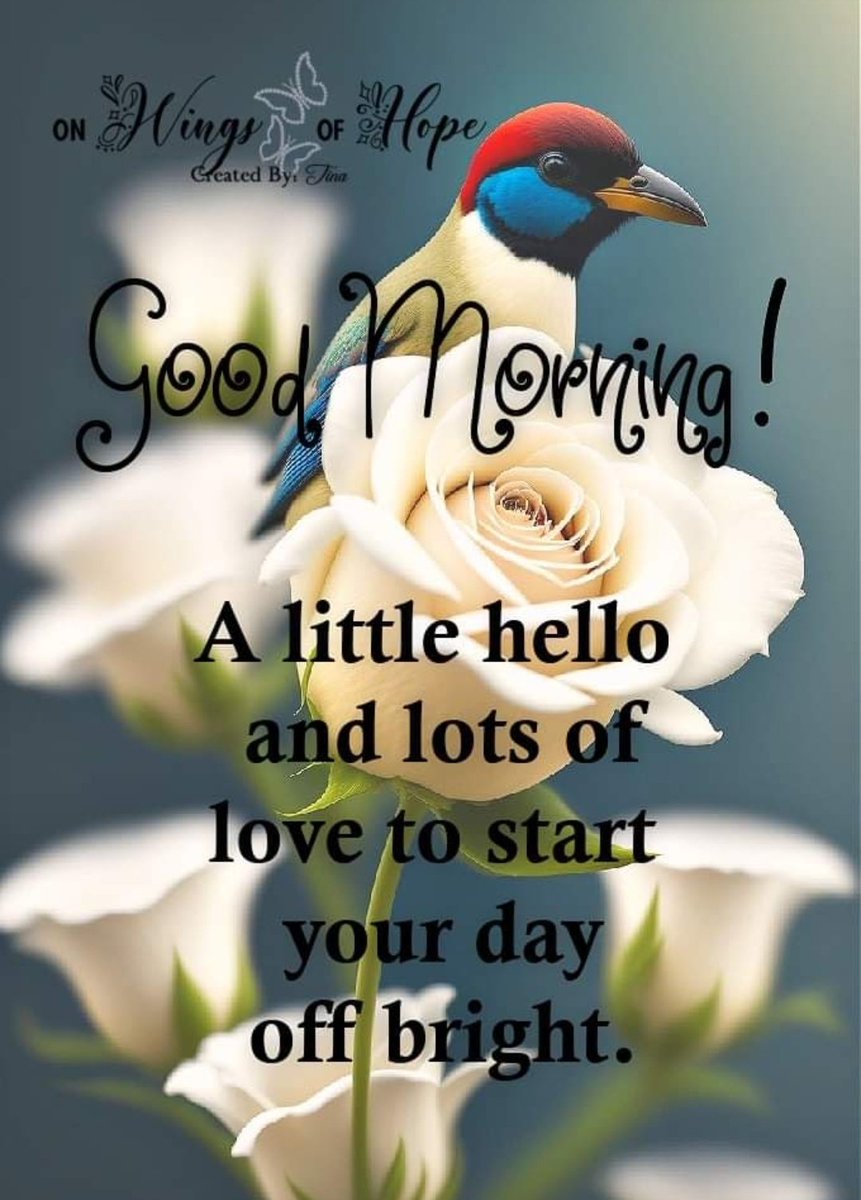HarinathIndira's tweet photo. Good Morning 🌞 friends. Having fun with kids, grandkids this week. Its a yearly tradition that's so precious 🙏 Grands are growing up so fast ❤️
#hugyourfamily https://t.co/wWuxHZ53d9