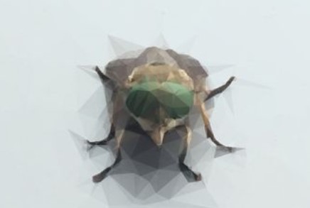 ArrietansonNFT tweet media