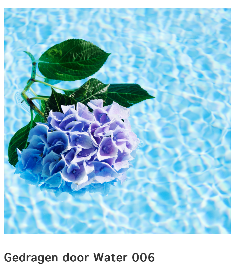 Heerlijk in zomerse sferen? De fotoserie "Gedragen door Water" is ook grotendeels tijdens de zomermaanden gerealiseerd, zie bijvoorbeeld "Gedragen door Water 006" of, bekijk alle 50 foto's hier: zilverdock.com/store