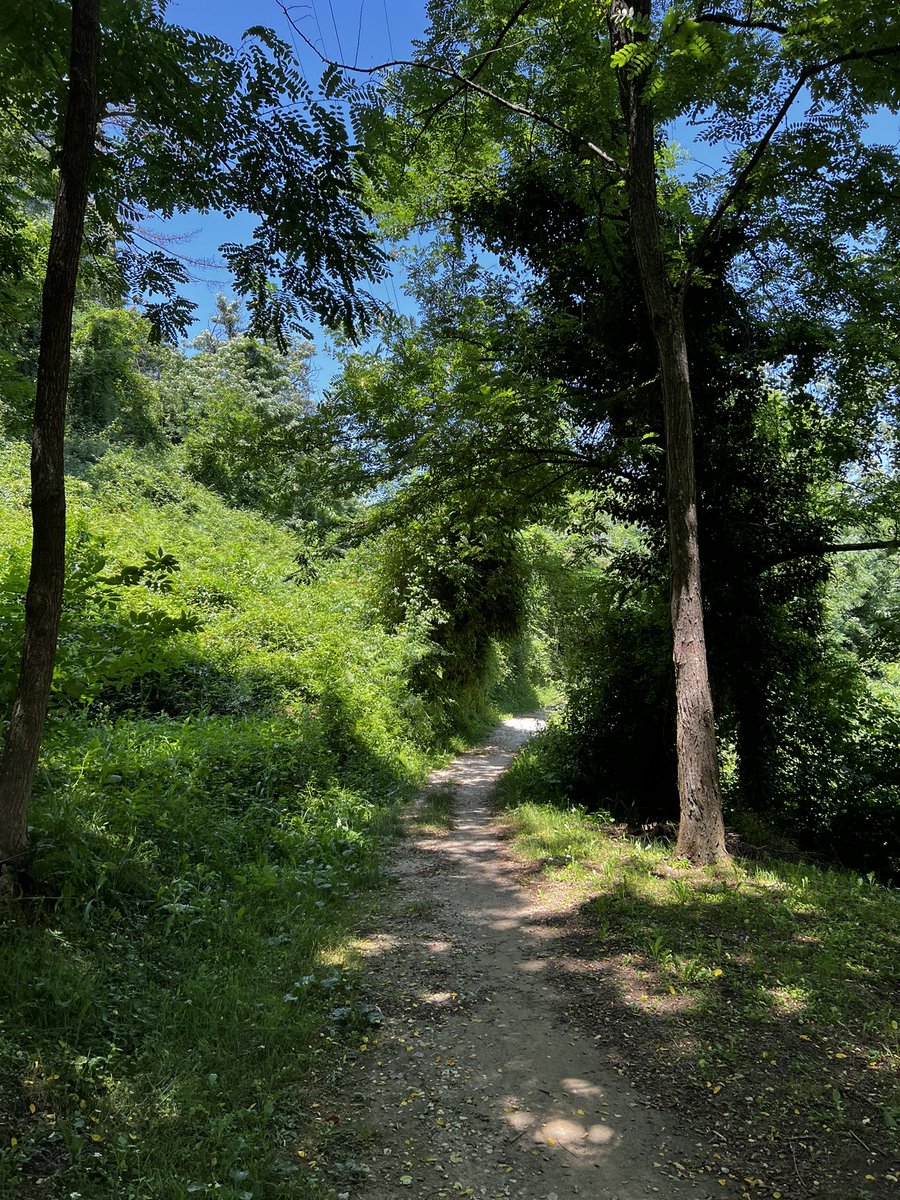 RamblingHUK's tweet photo. The Via Francigena route was famously walked by archbishop Sigeric in 990. Records of his pilgrimage still remain to this day. 

#History #Italy https://t.co/ttQFr6TNmX
