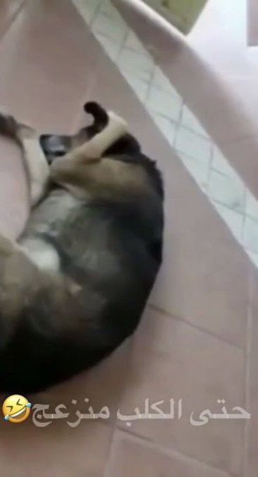 LoDe17_'s tweet photo. @2xm0_ https://t.co/t1NUzza778