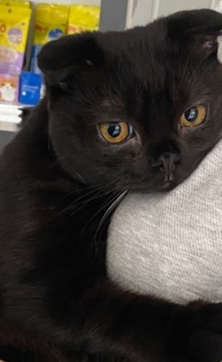 Gitti Benim Oğlum 😓😓😓
Yeri Nasıl Dolacak 😔