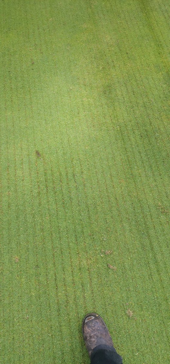 Shotts Golf Course tweet media