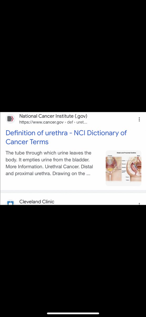 STEPONTWEET's tweet photo. @roman_chavarria You defo mean ‘ethereal’ 🤣 ….. Unless you’re describing it as being like a tube through which urine leaves the body! 🤪 https://t.co/AvP3bCtIsu