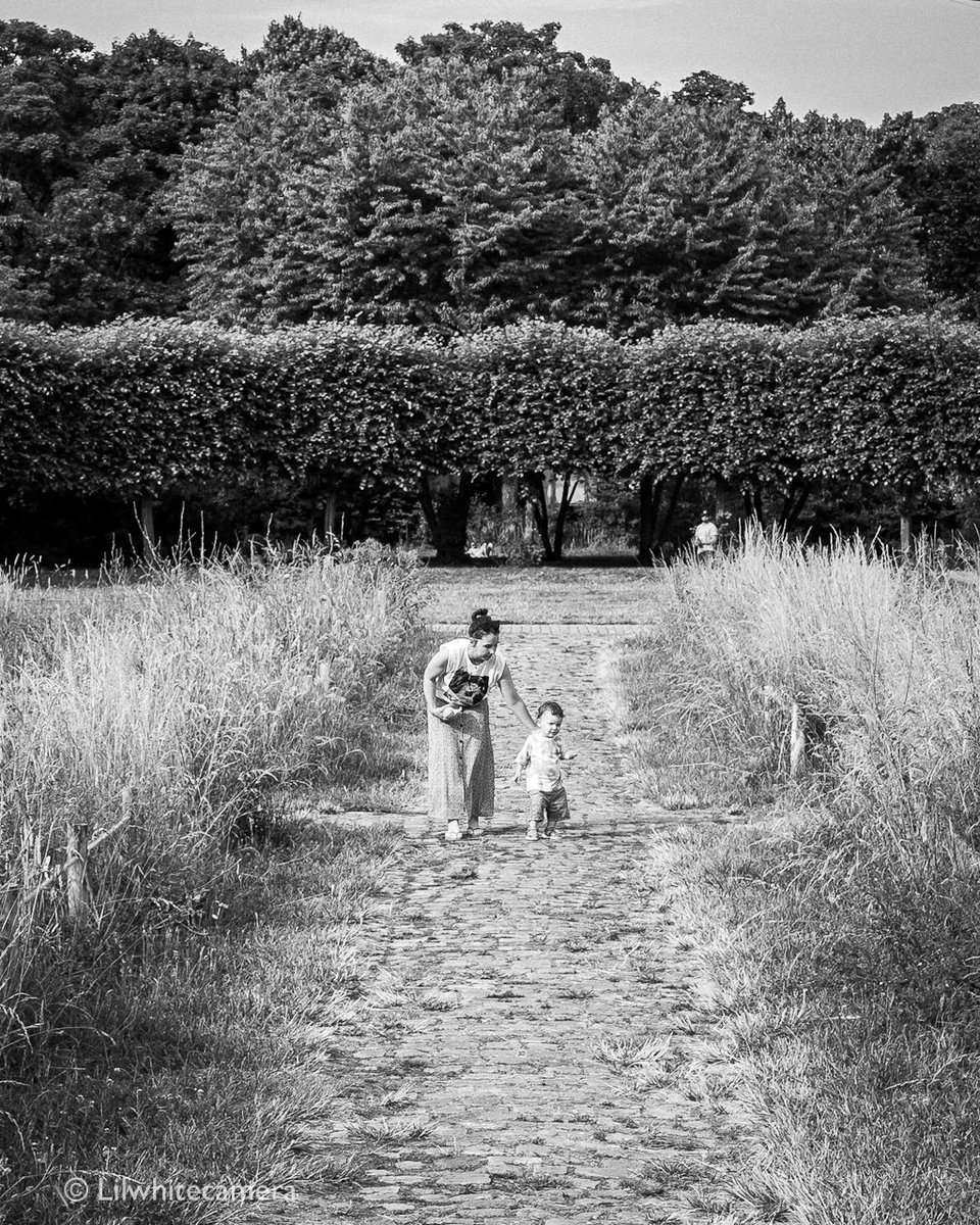 Lilwhitecamera's tweet photo. 📸 #LilPhotoFriday
En streetphoto être en focale fixe nécessite être proche de son sujet pour "rentrer dans la photo". Mais c'est compliqué quand on ne veut pas déranger ou quand l'action se passe loin de soi. Heureusement parfois la magie opère ✨😉
Ps: vous m'avez repéré ? 🥷 https://t.co/9kp6y0Rayx