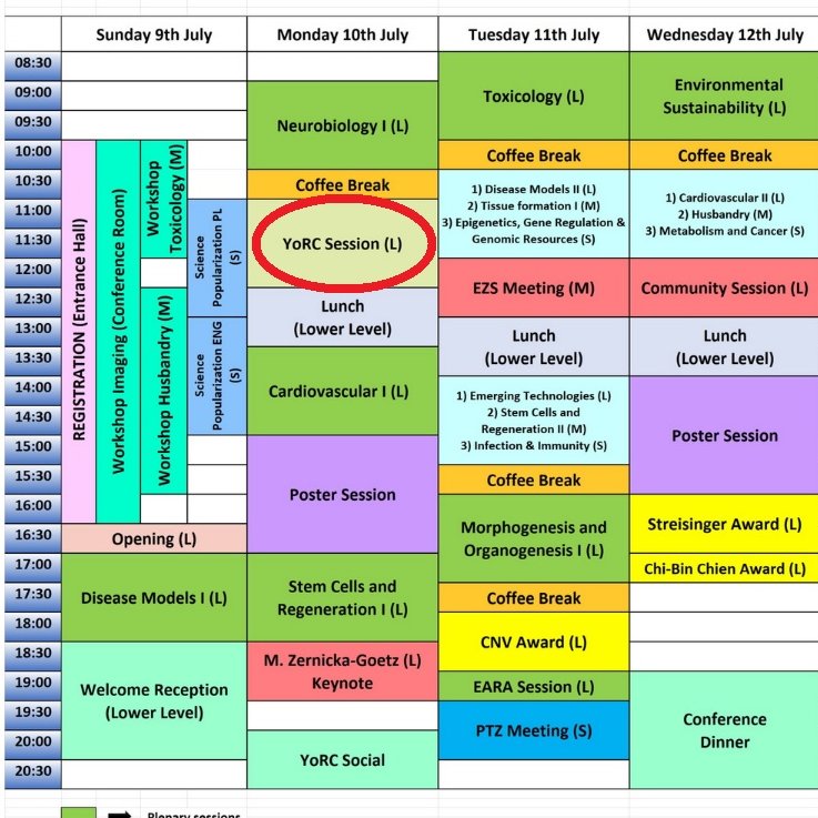 Only 2 days left until we start #EZM2023!

Don’t miss out on the Young Researcher Session on Monday morning to listen to great presentations and flash talks from early career researchers!

Also join the conversation on #MentalHealth in academia with <a href="/anja_glenk/">Anja Glenk 🇩🇪💞🇮🇱</a> at our session!
