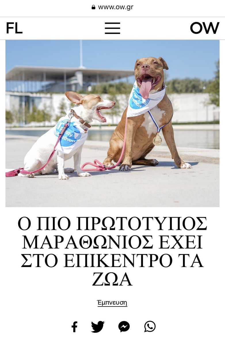 9/7/23 #pennymarathon2023 #pennymarathon #helpgreekstrays