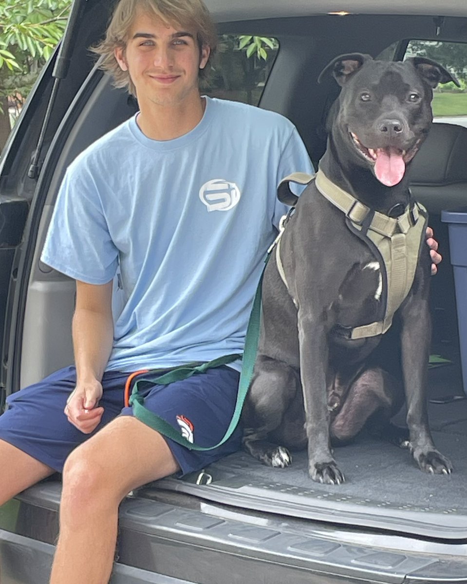 Todd Mooney tweet media