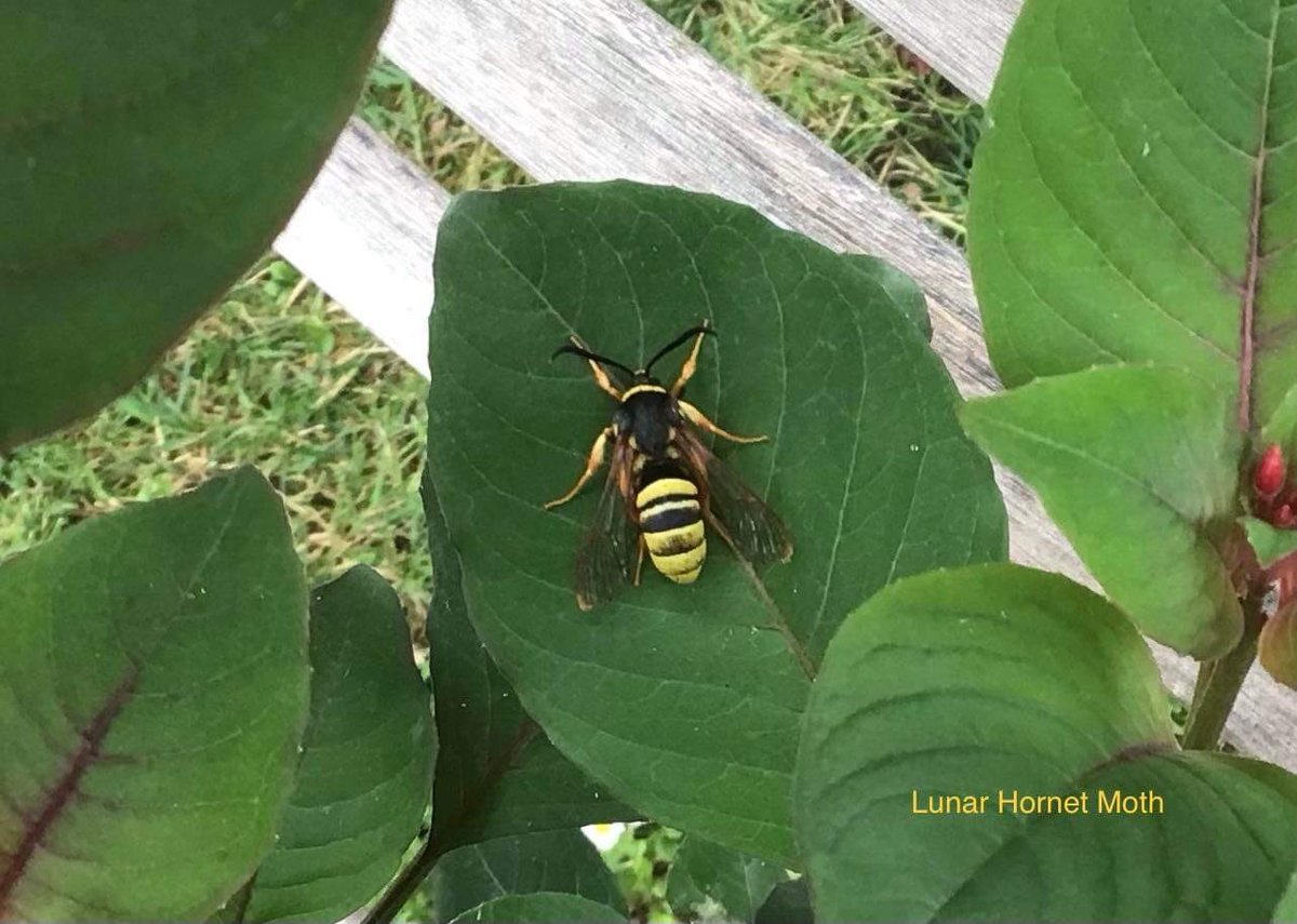 ian bennett tweet media