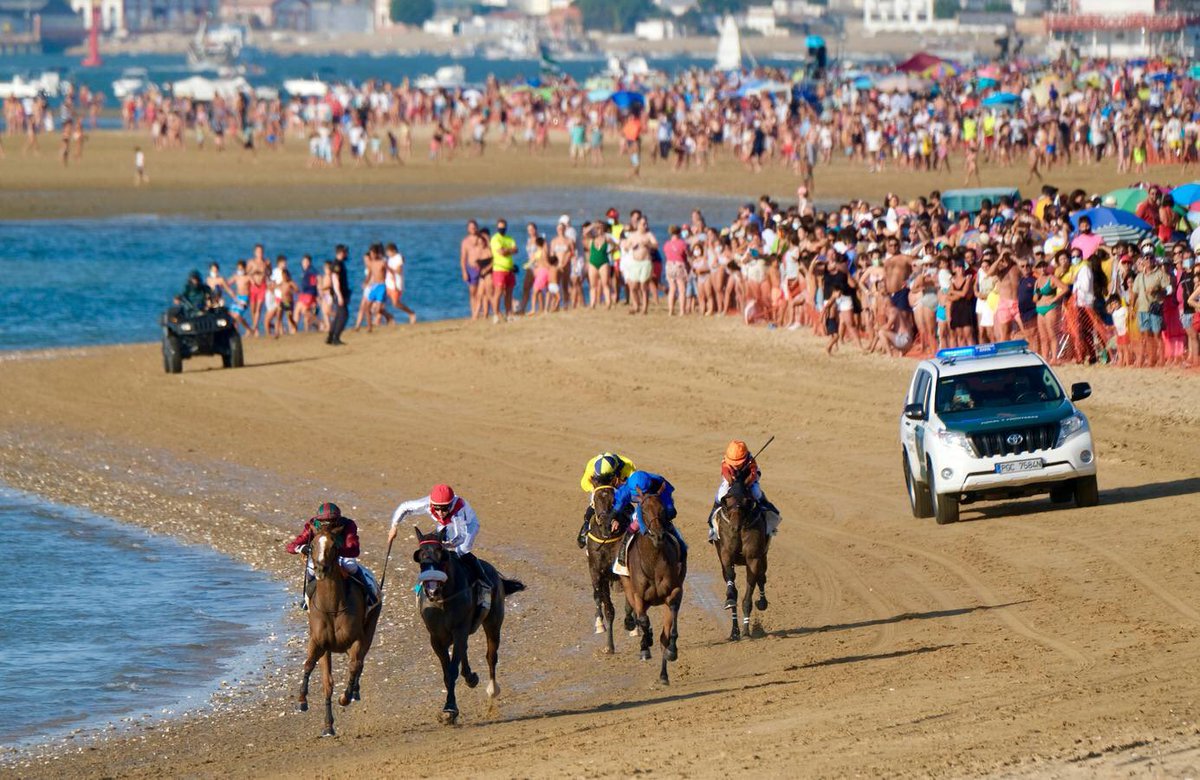 Guadalquivir y Doñana  #CarrerasDeCaballos 🏇🏇🏇🏇🏇#SanlúcarDeBarrameda 🌊🥂🦐