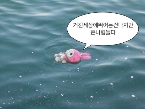 취켓팅 잡았다 뺐긴 사람 됨