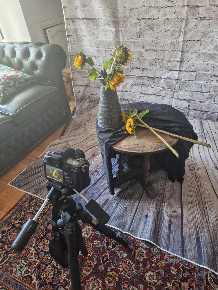 Tim_the_Sleeper's tweet photo. Got things on my to-do list. Plans need actioning. Exercise, art, mundane life stuff.
But... THESE SUNFLOWERS ARE DYING.
Quick, camera stuff a gogo 🌻📷
#distractify https://t.co/poZFRWFSwo