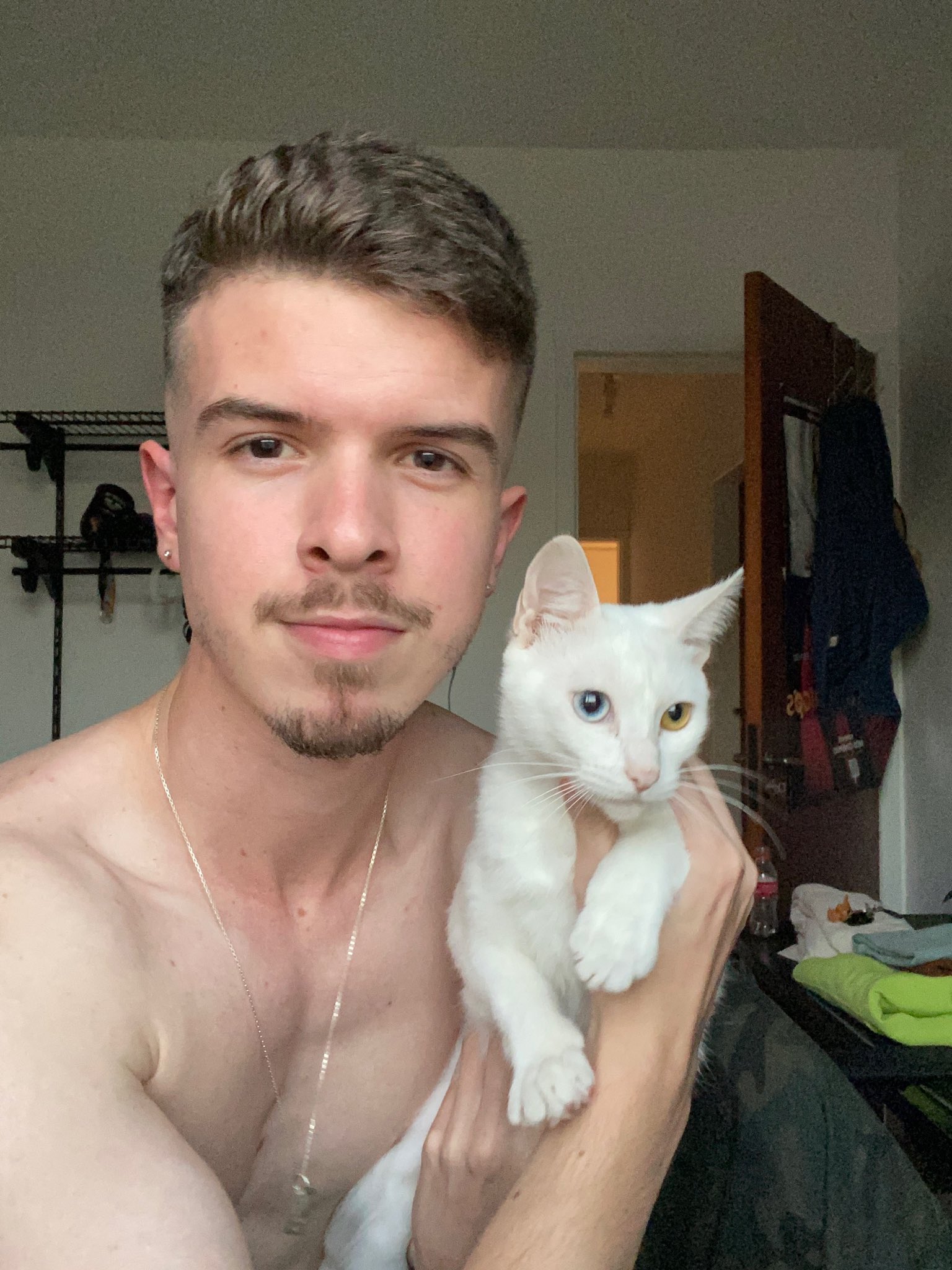 F0bl4hLWcAI8TL4.jpg:large